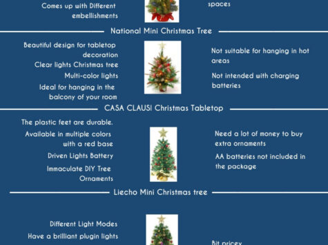 Best Mini Christmas Tree Infographic